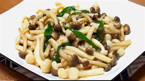 蘑菇视频官网 - 美食制作教程